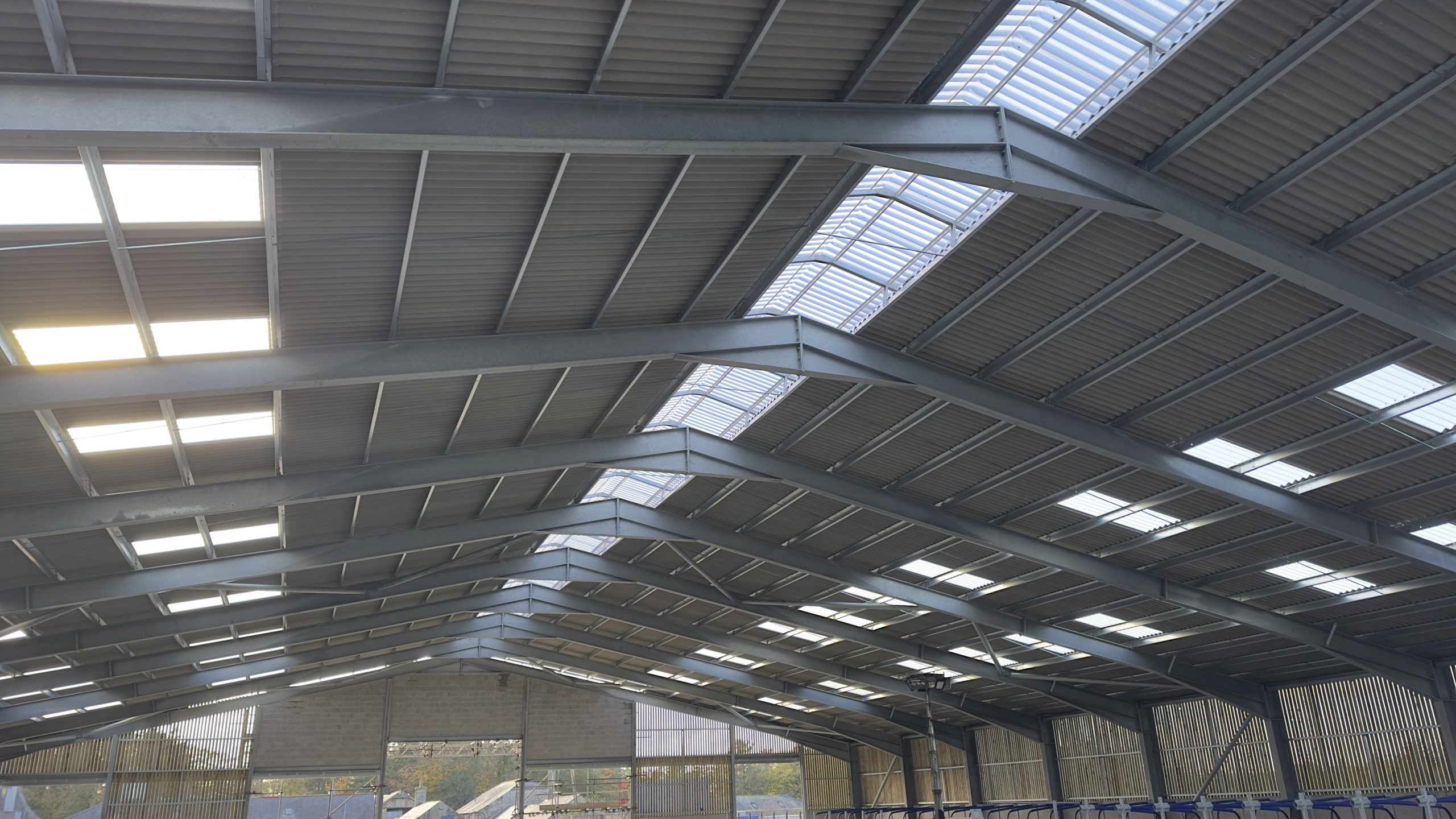 20251029 131028387 iOS 20251029 131028387 iOS