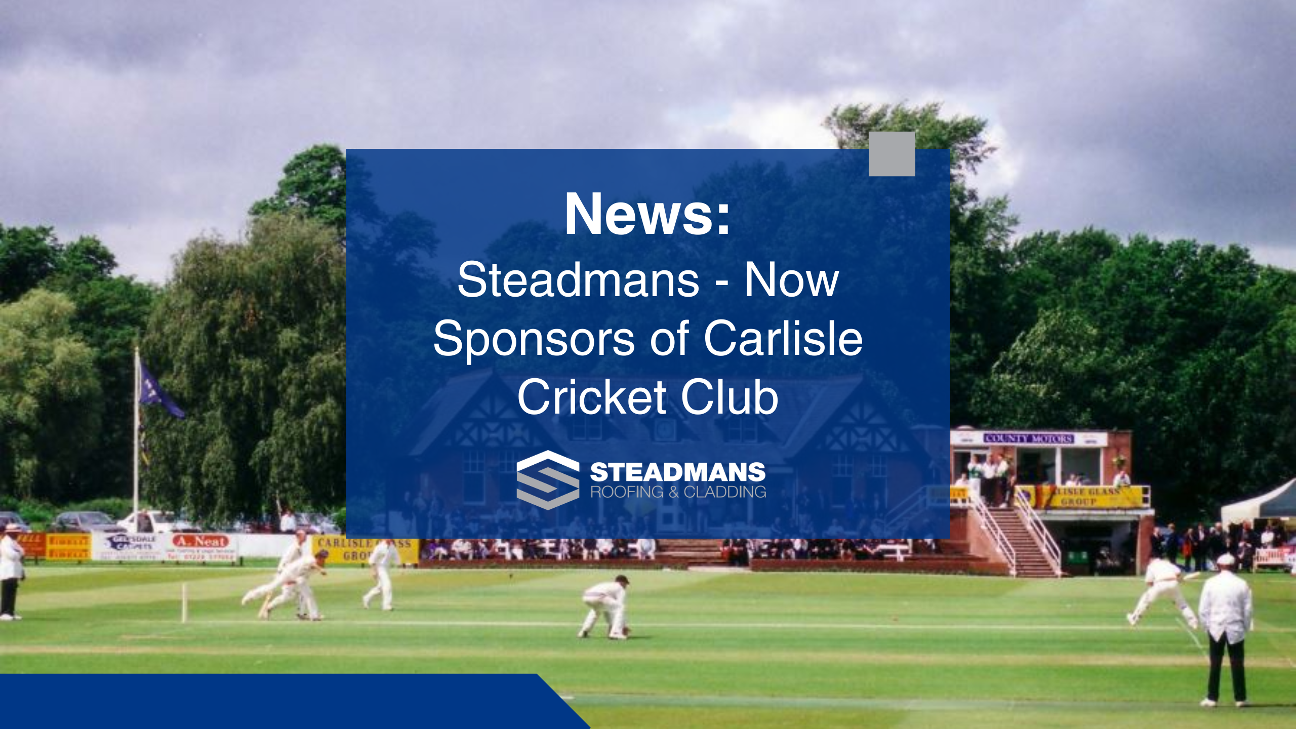 Steadmans News Covers